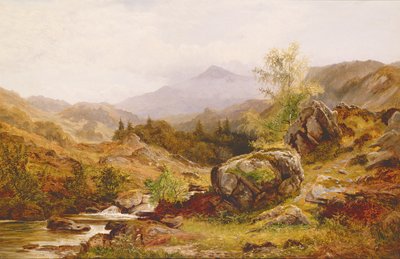 Dans la vallée de Lledr, nord du Pays de Galles - Richard Redgrave